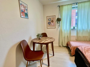 5 minute walk to LEGO house - n3 - studio room with private bathroom